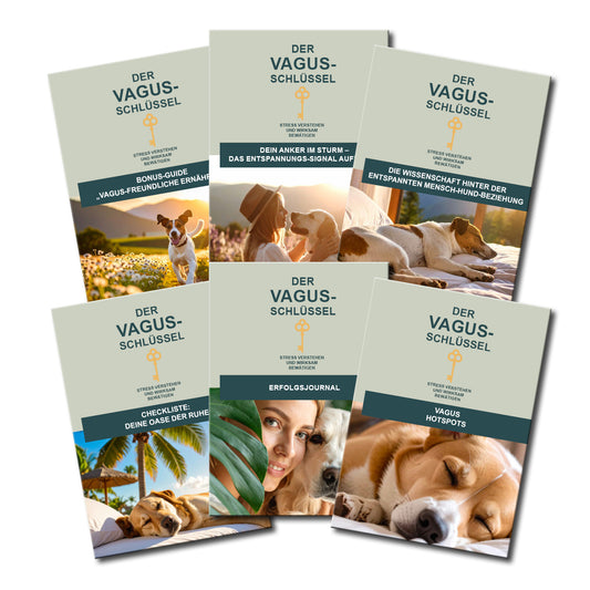 Der Vagus Schlüssel